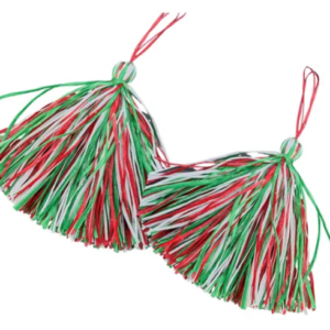 pom-pon porrista