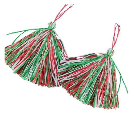 pom-pon porrista